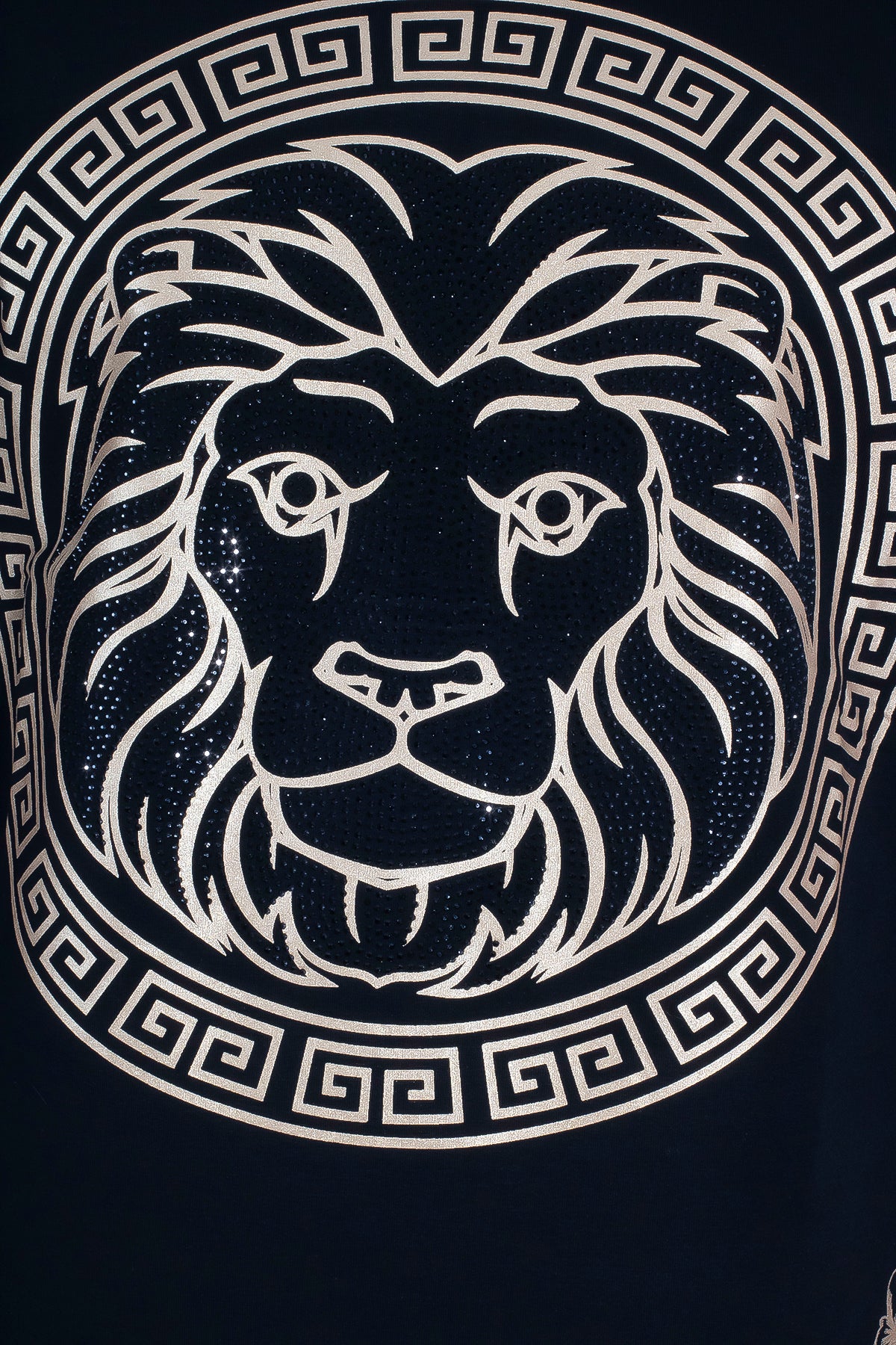 THE LEAON T-SHIRT
