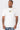 THE DARWIN T-SHIRT - Vibes Fashion